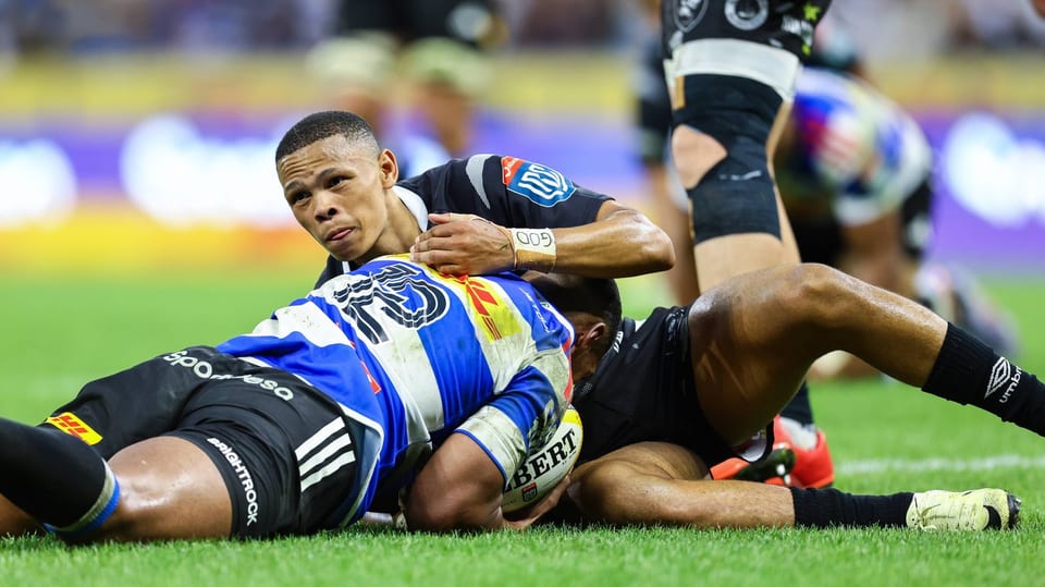 Springboks hand four players Test debuts as Rassie Erasmus names bold squad to face Wales